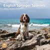 image English Springer Spaniels 2025 Wall Calendar Main Image