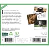 image Cats 2026 Desk Calendar First Alternate Image