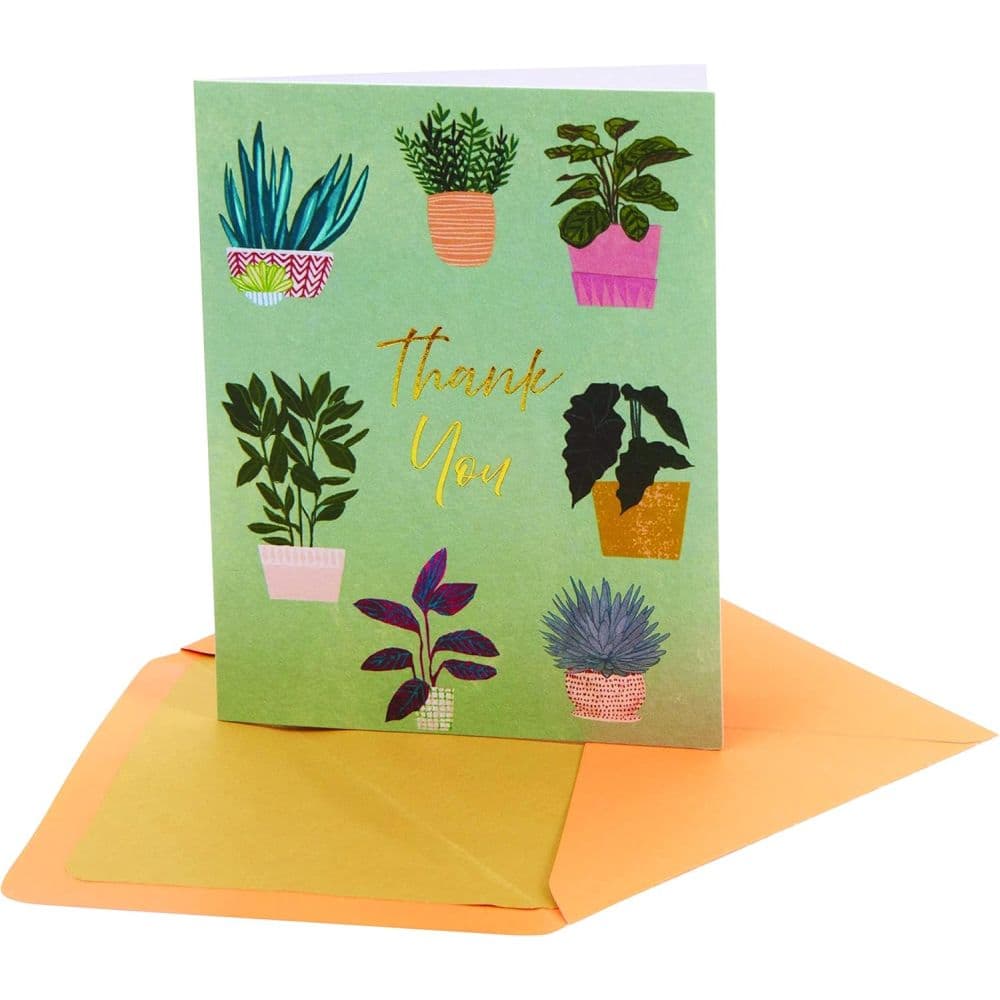 Thank You Houseplants Teal Boxed Note Cards Second Alternate Image