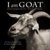 image I am Goat 2025 Wall Calendar Main Product Image width=&quot;1000&quot; height=&quot;1000&quot;