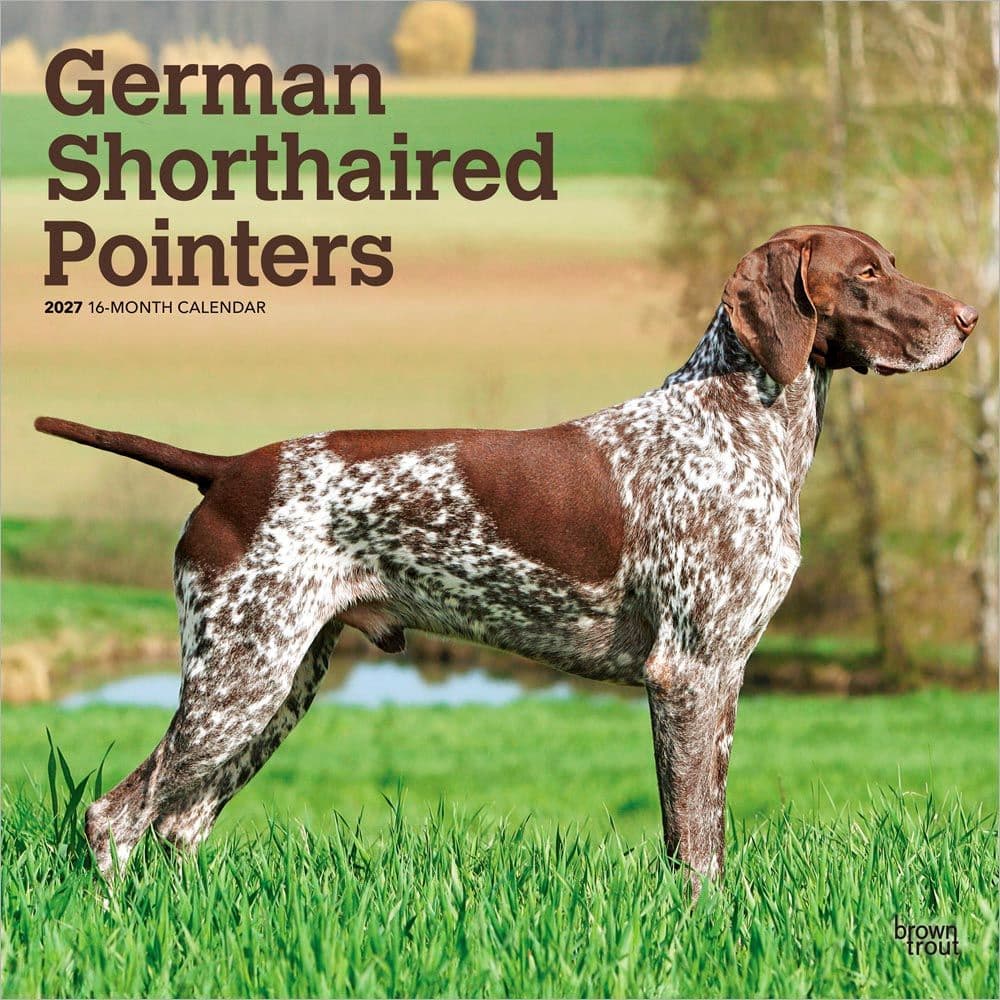 German Shorthaired Pointers 2027 Wall Calendar Main Product Image