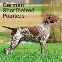 image German Shorthaired Pointers 2027 Wall Calendar Main Product Image