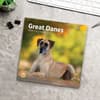 image Great Danes 2025 Wall Calendar Fourth Alternate Image