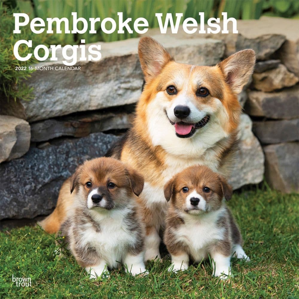 Pembroke Welsh Corgis 2022 Wall Calendar