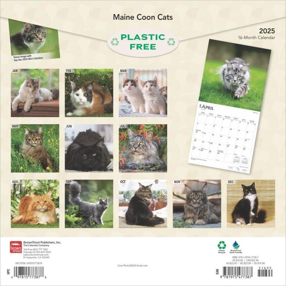 Maine Coon Cats 2025 Wall Calendar First Alternate Image