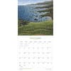 image Point of Light 2025 Wall Calendar