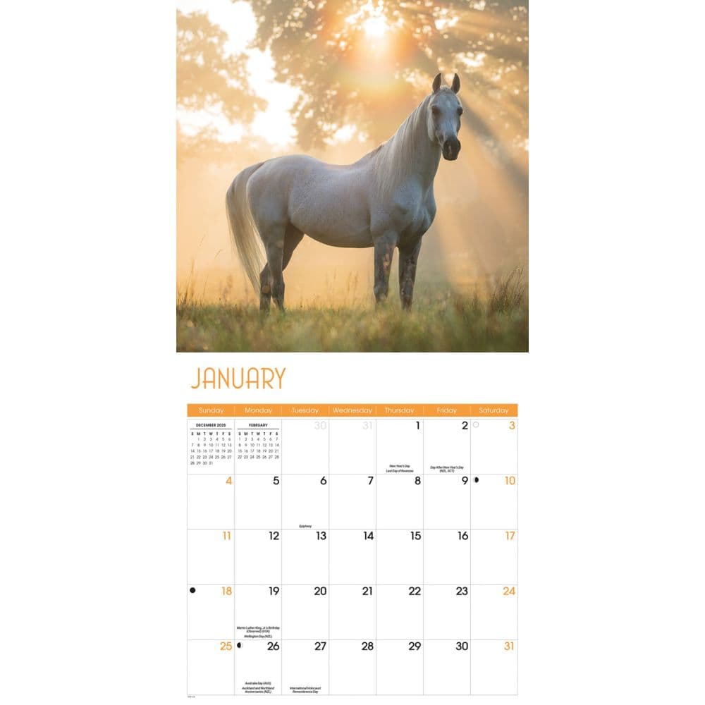 Horses 2026 Wall Calendar, 12.01'' X 12.01'', 16-Month Calendar with Stapled Binding