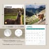 image Llamas 2025 Wall Calendar Seventh Alternate Image