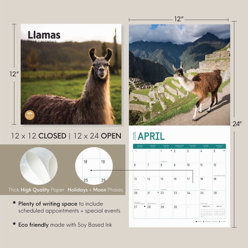 Llamas 2025 Wall Calendar Seventh Alternate Image