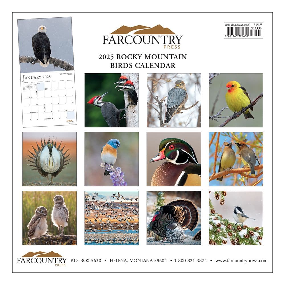 Rock Mountain Birds 2025 Wall Calendar First Alternate Image width="1000" height="1000"