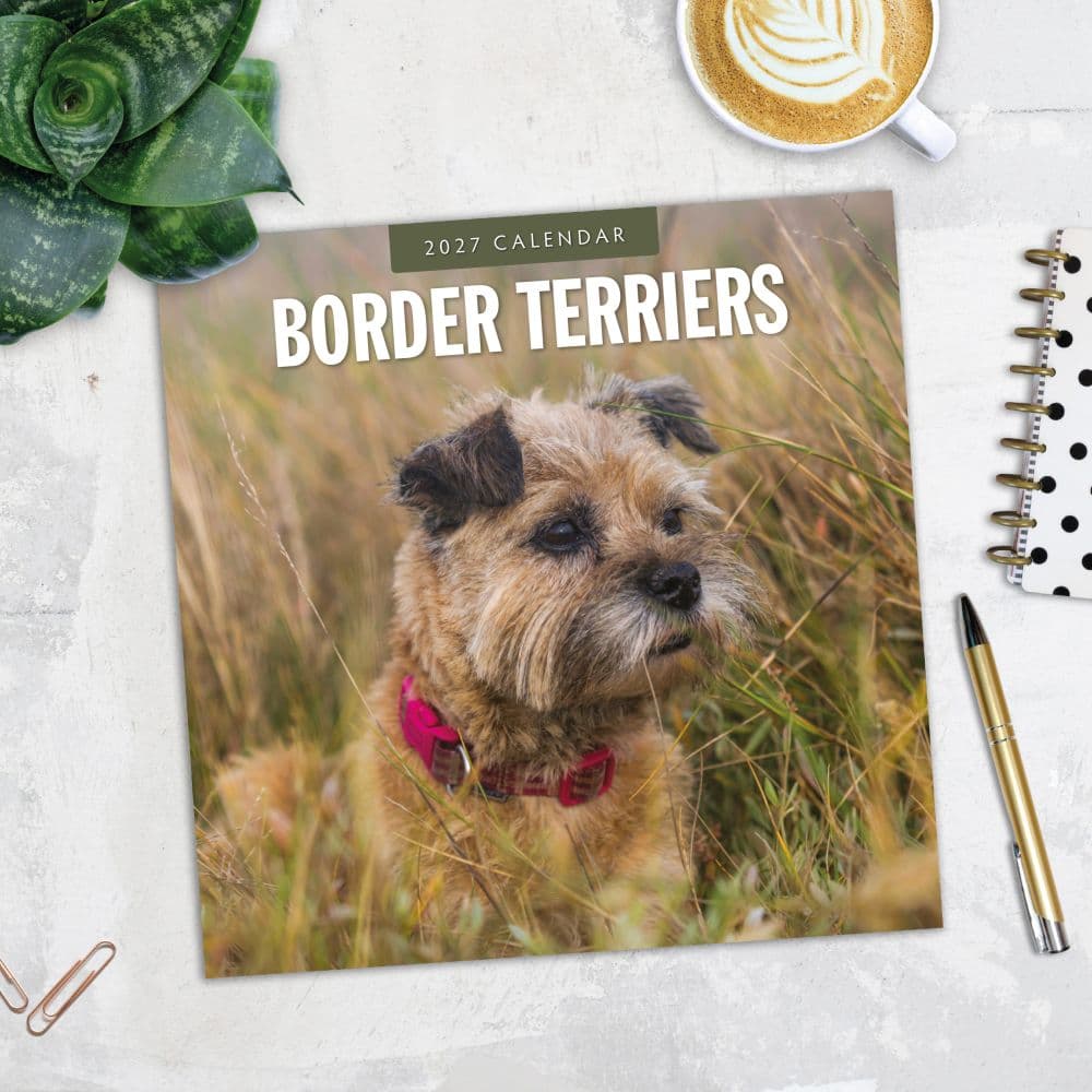 Border Terriers 2027 Wall Calendar Fourth Alternate Image