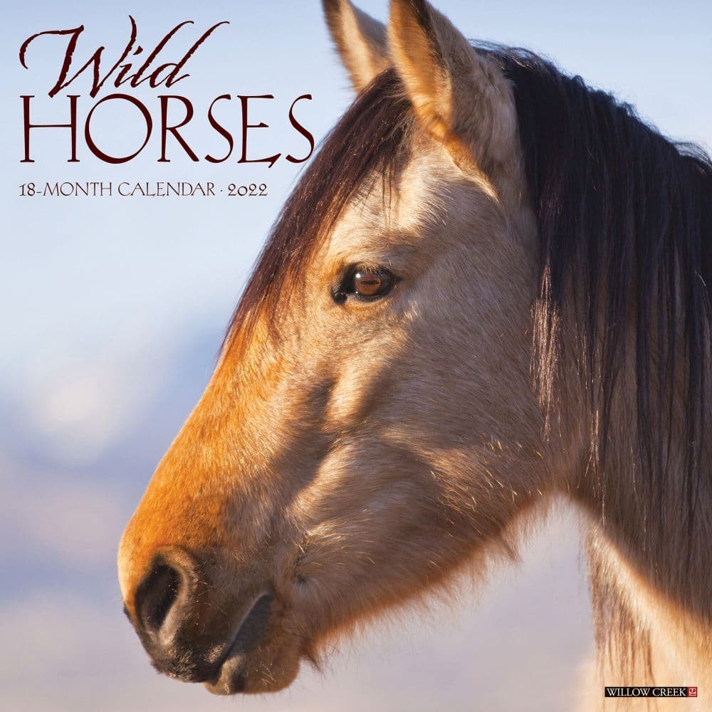 Wild Horses 2022 Wall Calendar