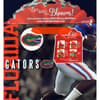 image Florida Gators Medium Gogo Gift Bag Alternate Image 2