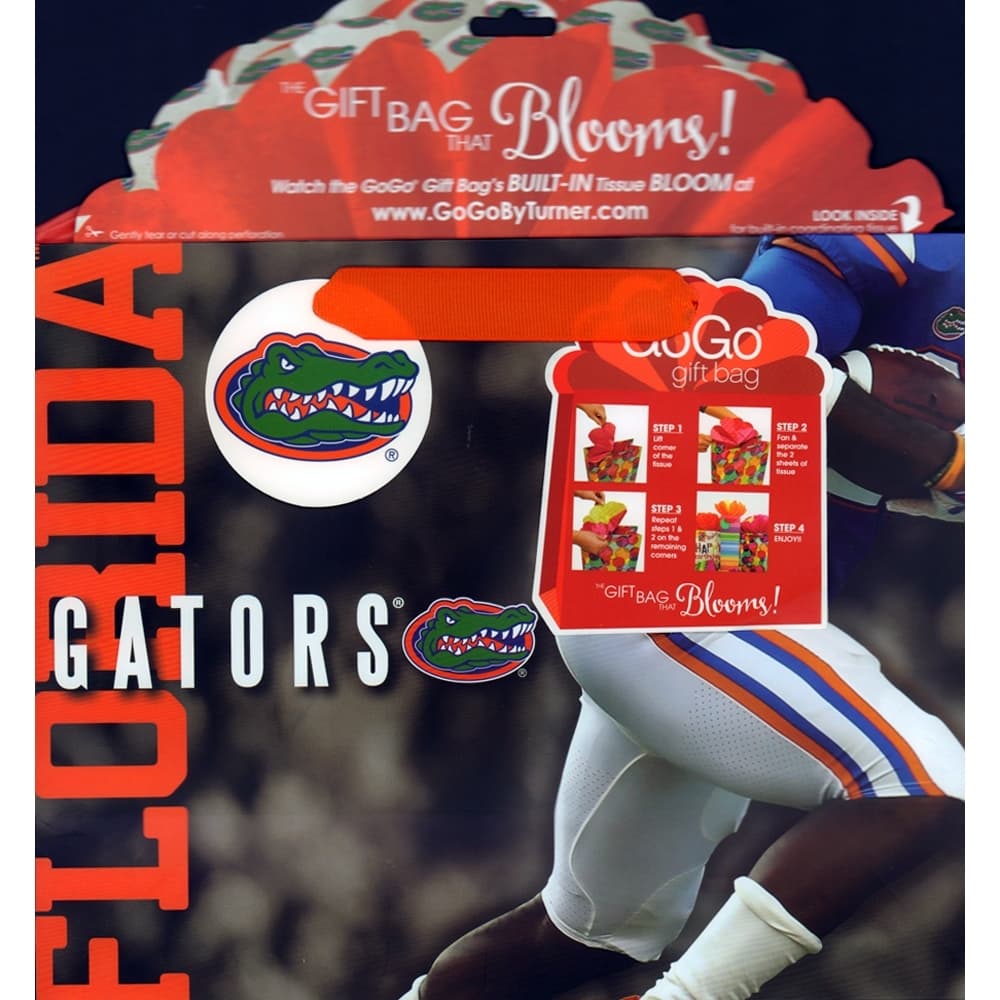 Florida Gators Medium Gogo Gift Bag Alternate Image 2