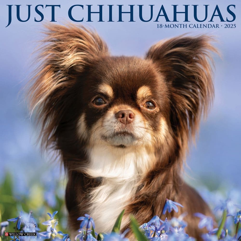 Chihuahuas Just 2025 Wall Calendar Main Image