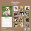image Lhasa Apso 2027 Wall Calendar First Alternate Image