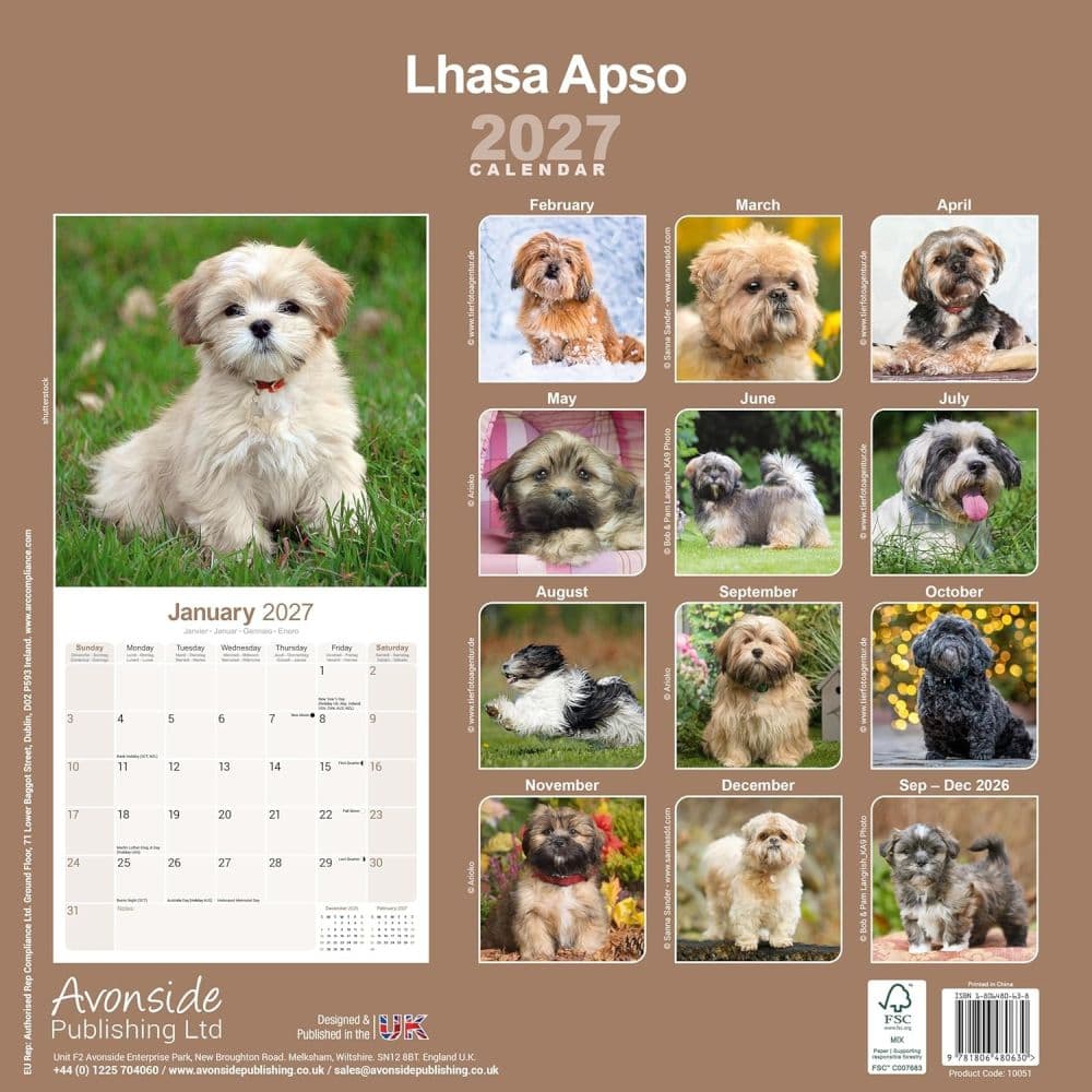 Lhasa Apso 2027 Wall Calendar First Alternate Image