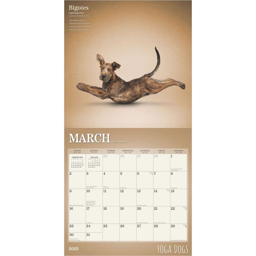 Yoga Dogs 2025 Wall Calendar Second Alternate Image