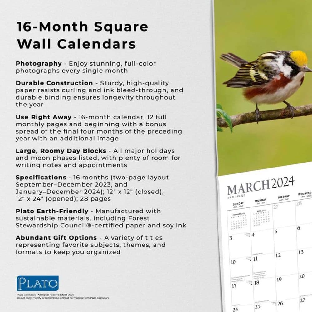 Songbirds 2024 Wall Calendar Fourth Alternate Image width=&quot;1000&quot; height=&quot;1000&quot;