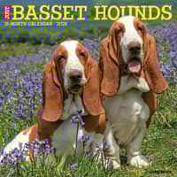 image Just Basset Hounds 2026 Wall Calendar Main Image