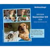 image We Rate Dogs 2026 Desk Calendar Third Alternate Image