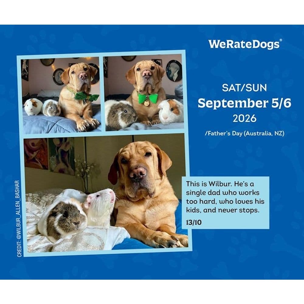 We Rate Dogs 2026 Desk Calendar Third Alternate Image