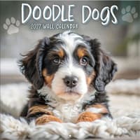 image Doodle Dogs Photo 2027 Wall Calendar