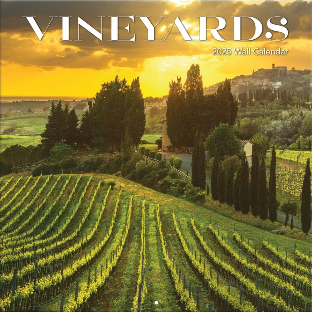 Vineyards 2025 Wall Calendar _Main Image