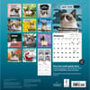 image Grumpy Cat 2026 Wall Calendar First Alternate Image