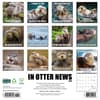 image In Otter News 2025 Wall Calendar First Alternate Image width=&quot;1000&quot; height=&quot;1000&quot;