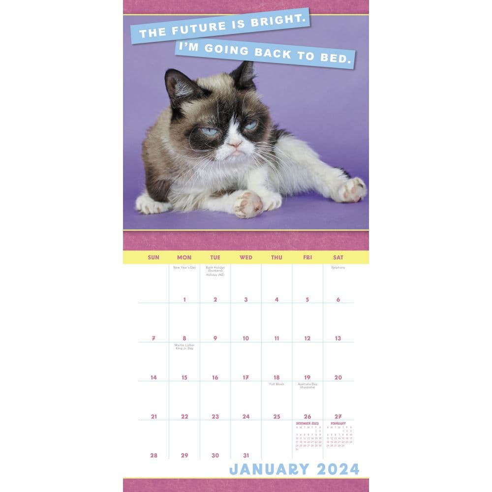 Grumpy Cat 2024 Mini Wall Calendar