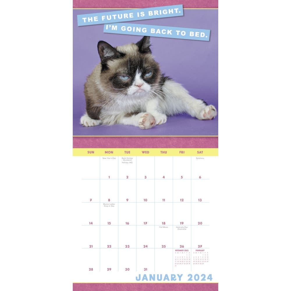 Grumpy Cat 2024 Mini Wall Calendar Second Alternate Image width=&quot;1000&quot; height=&quot;1000&quot;