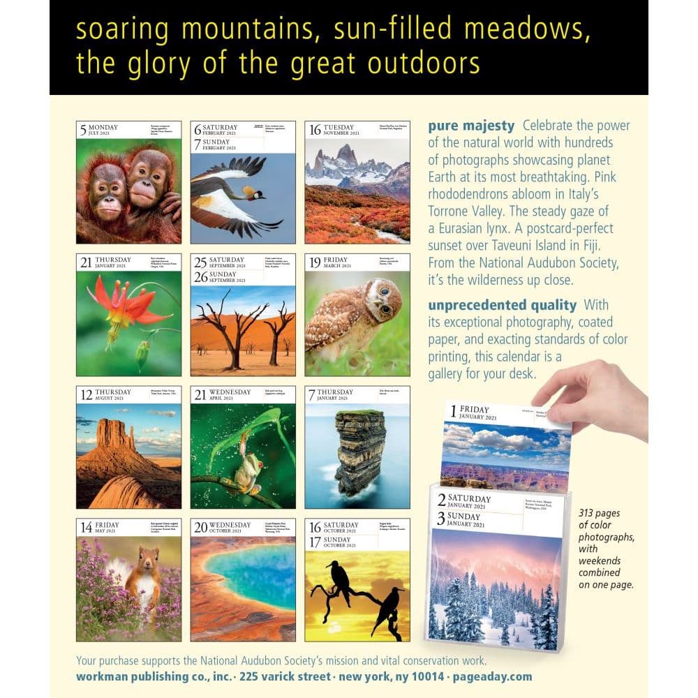 audubon-nature-page-a-day-gallery-calendar-calendars