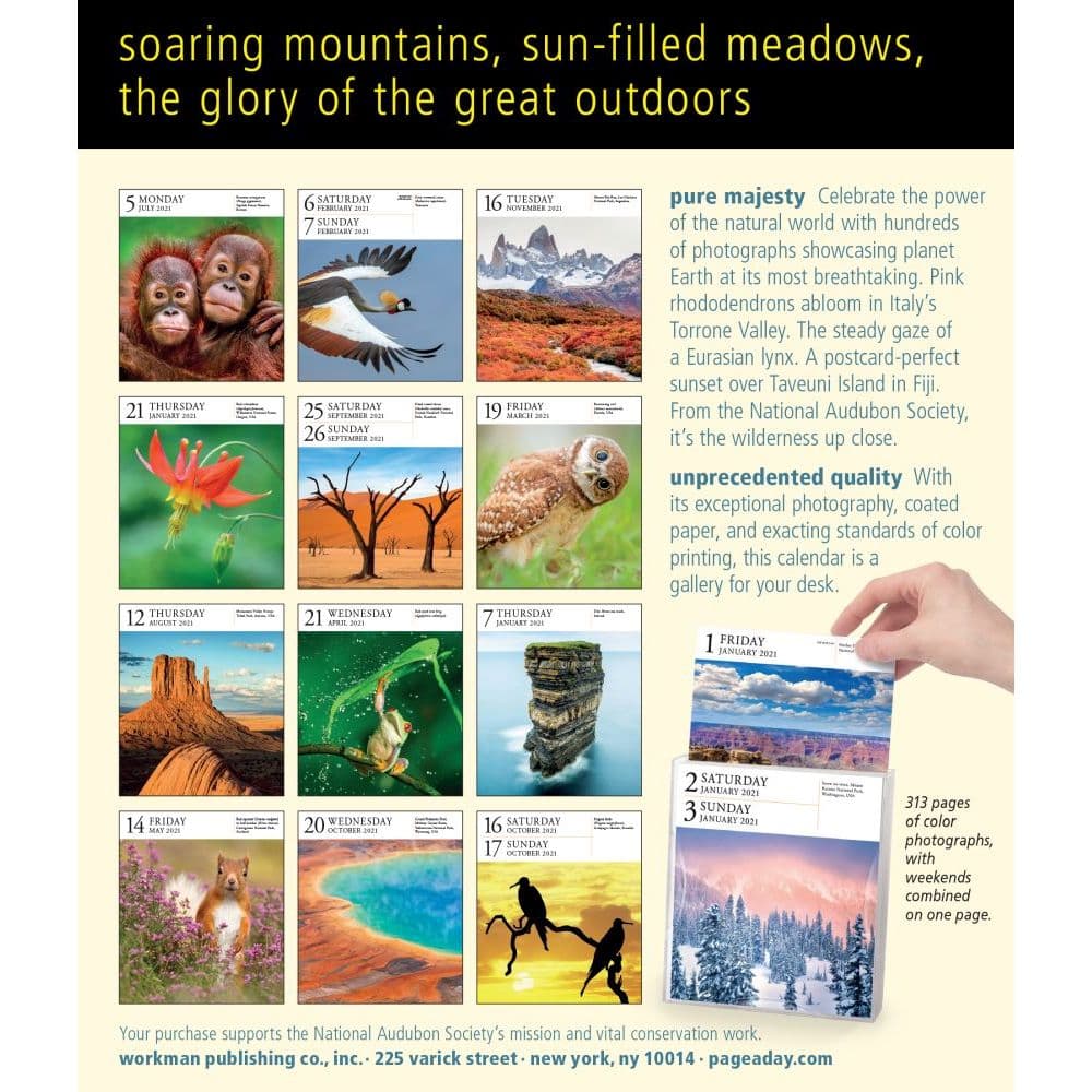 Audubon Nature PageADay Gallery Calendar