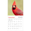 image Audubon Cardinals 2027 Mini Wall Calendar Third Alternate Image