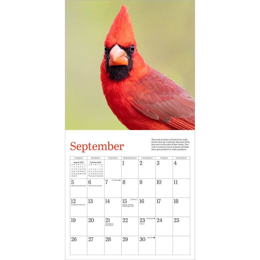 Audubon Cardinals 2027 Mini Wall Calendar Third Alternate Image