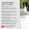 image Border Collies 2024 Wall Calendar Fourth Alternate Image width=&quot;1000&quot; height=&quot;1000&quot;