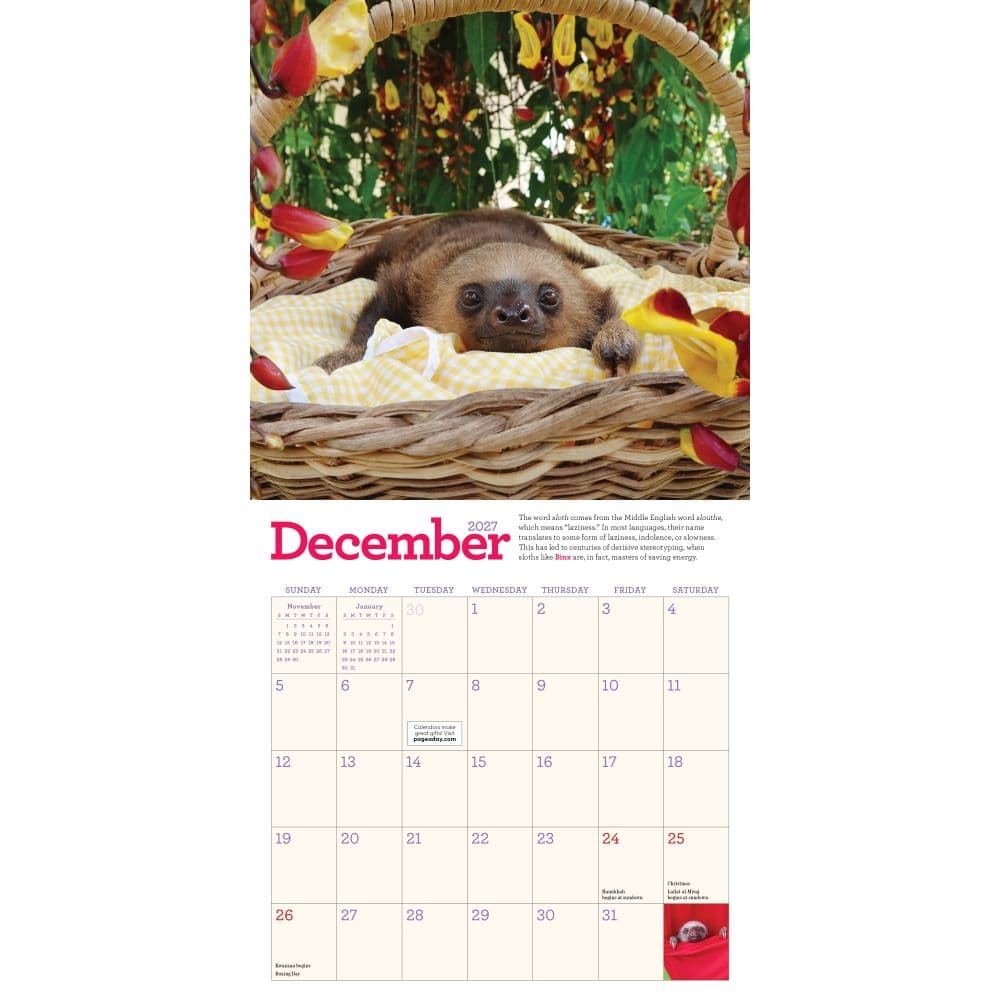Sloths 2027 Mini Wall Calendar Fourth Alternate Image