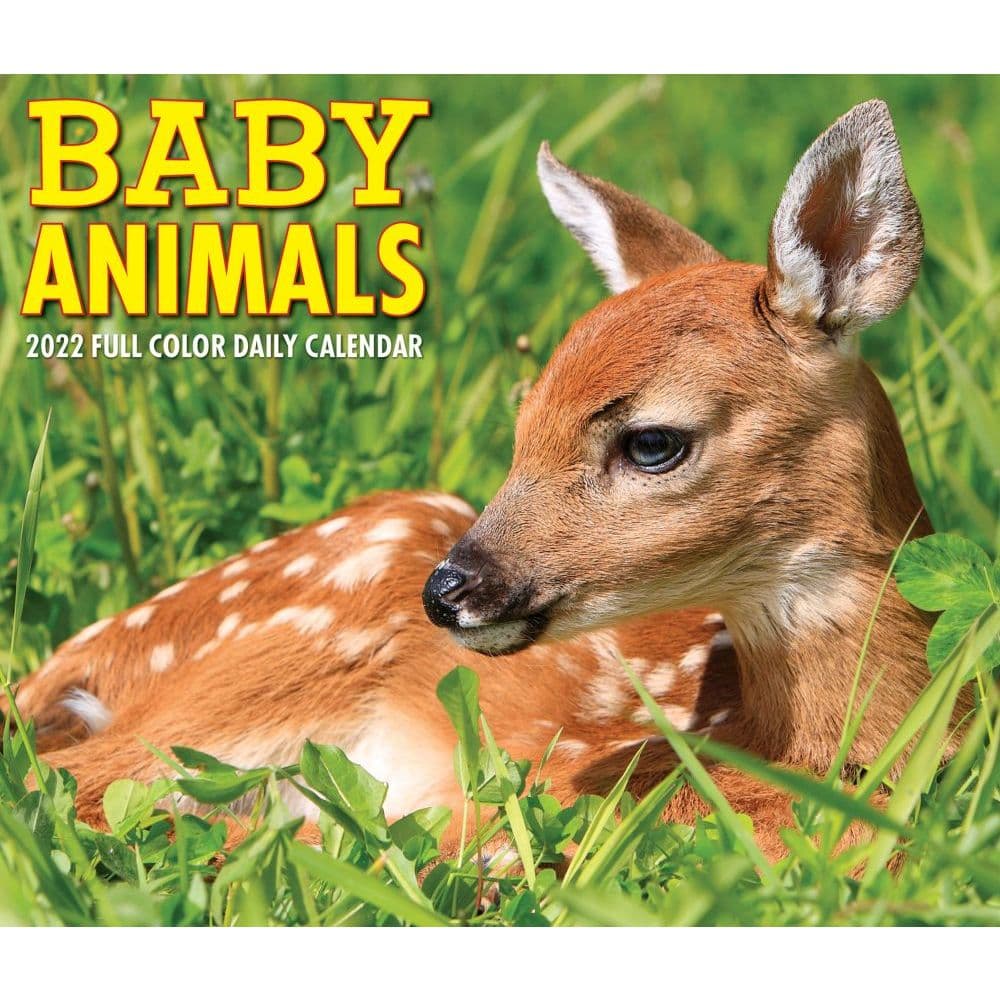 Baby Animals 2022 Desk Calendar