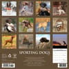 image Sporting Dogs 2025 Wall Calendar First Alternate Image width=&quot;1000&quot; height=&quot;1000&quot;