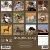 image Sporting Dogs 2025 Wall Calendar First Alternate Image width="1000" height="1000"