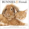 image Bunnies and Friends 2024 Wall Calendar Main Product Image width=&quot;1000&quot; height=&quot;1000&quot;