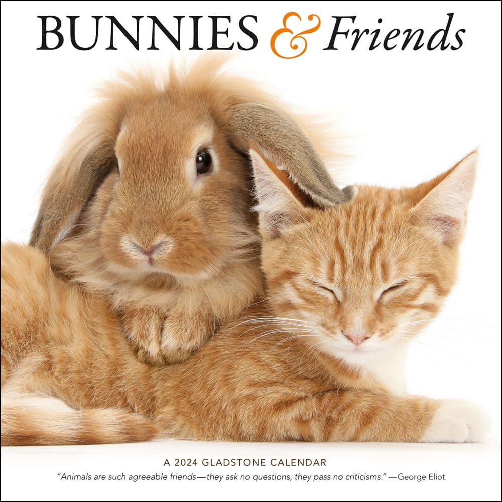 Bunnies and Friends 2024 Wall Calendar Main Product Image width=&quot;1000&quot; height=&quot;1000&quot;