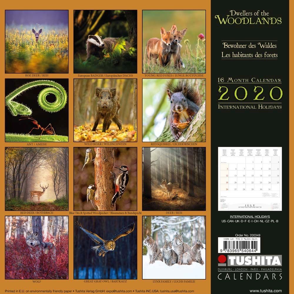 Forest Creatures Wall Calendar