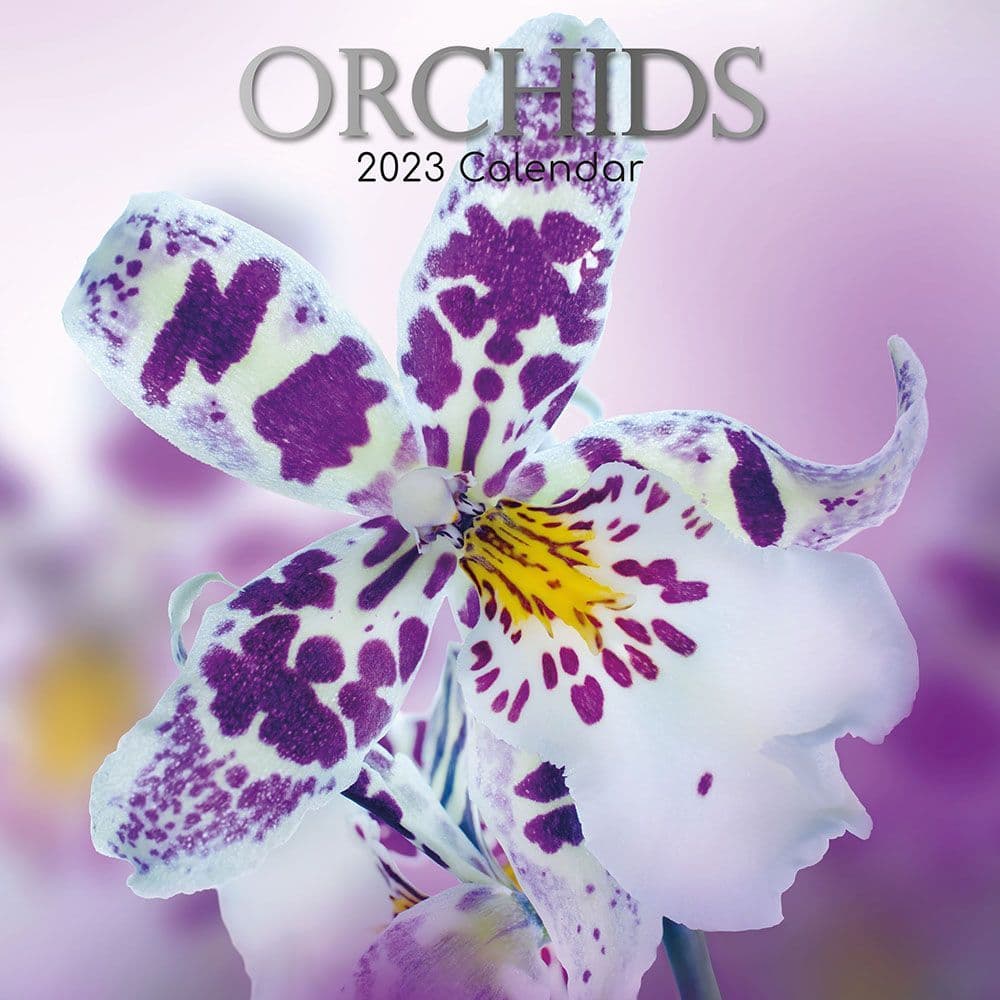 Orchids 2023 Wall Calendar