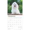 image Maltese 2025 Wall Calendar Third Alternate Image width=&quot;1000&quot; height=&quot;1000&quot;