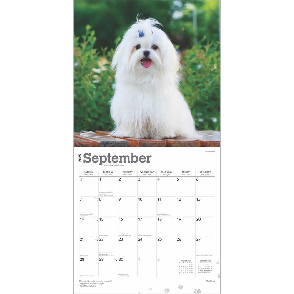 Maltese 2025 Wall Calendar