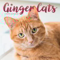 image Ginger Cats 2027 Wall Calendar Main Image