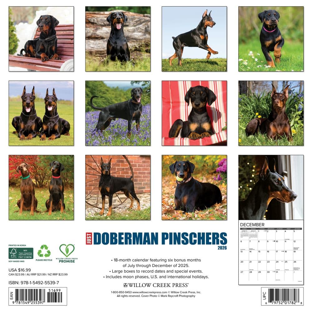 Just Dobermans 2026 Wall Calendar First Alternate Image