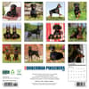 image Just Dobermans 2026 Wall Calendar First Alternate Image